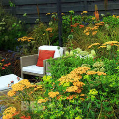 Хемптон-Корт 2012 Hampton Court Palace Flower Show 2012