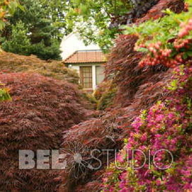 Branklyn Garden (Сад Бранклин) Шотландия