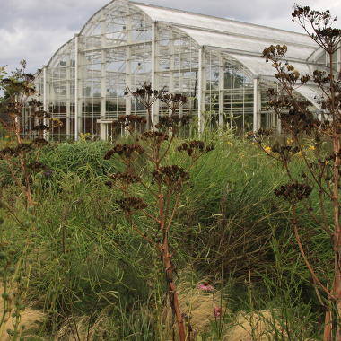 RHS Wisley