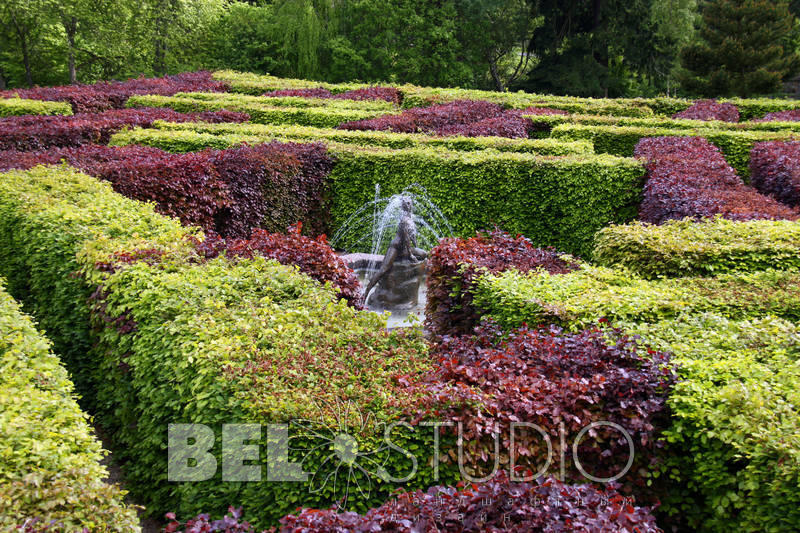 Лабиринт Scone Palace Gardens. 