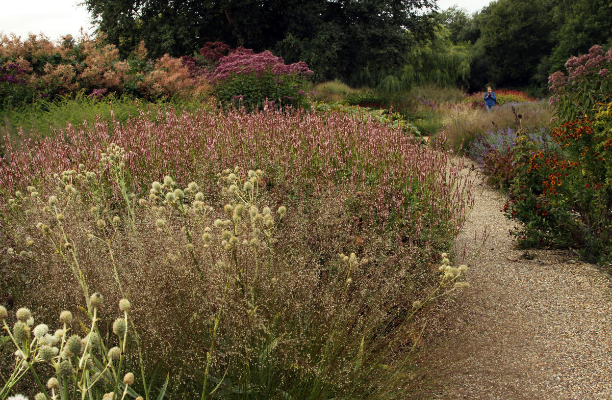 Pensthorpe Millenium Gardens. Сад Миллениум. Дизайнер Пит Удольф