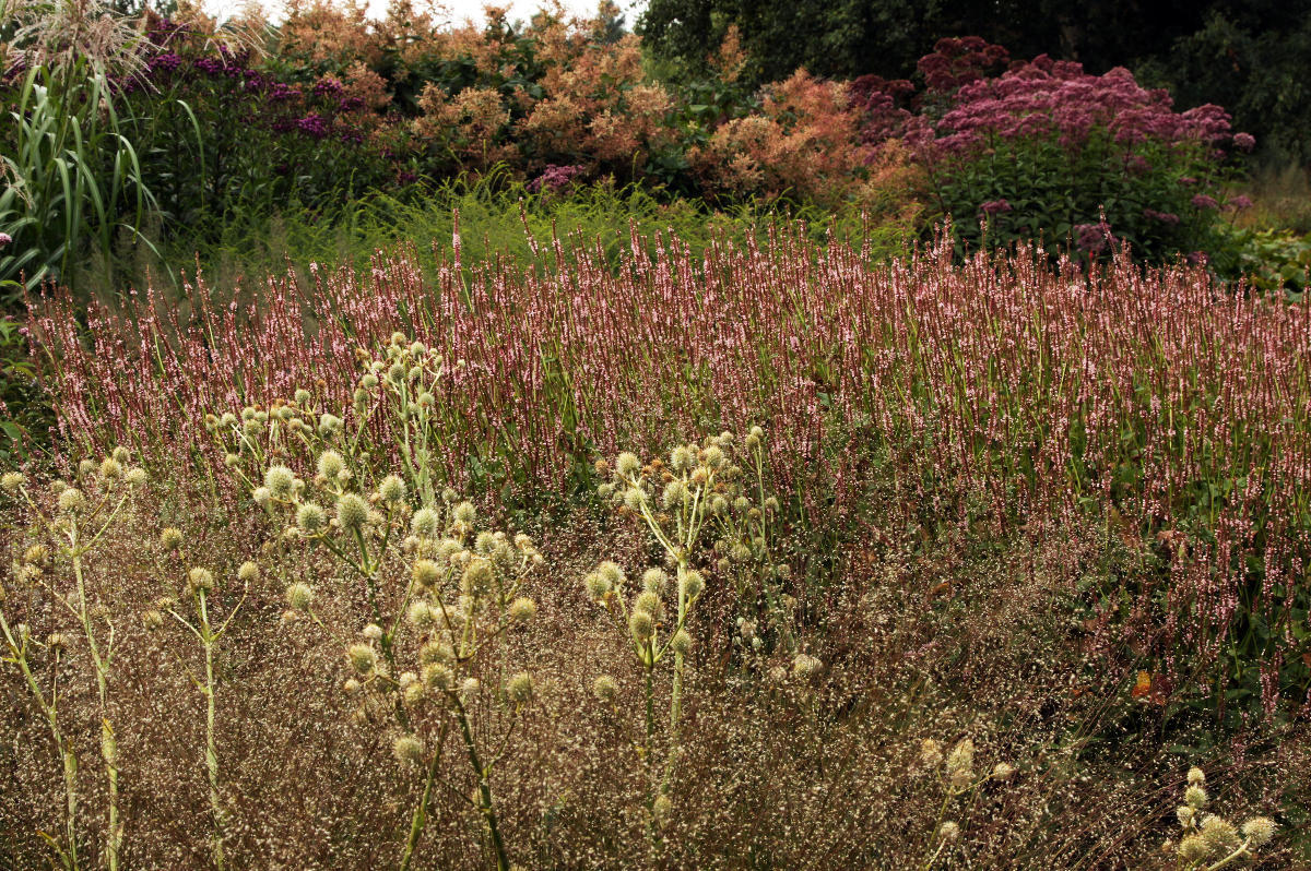 Pensthorpe Millenium Gardens. Сад Миллениум. Дизайнер Пит Удольф