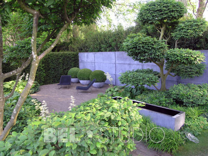 Best Show Garden Челси2008