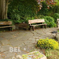 Branklyn Garden.  (Сад Бранклин) Шотландия.Перт