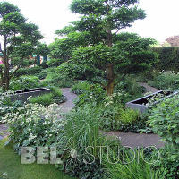 Best Show Garden Челси2008