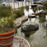 Jellicoe  Roof  Garden