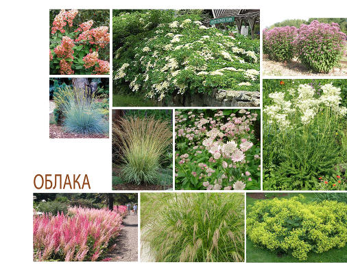"Цветник и образ" - задания слушателей курса "Дизайн цветников"